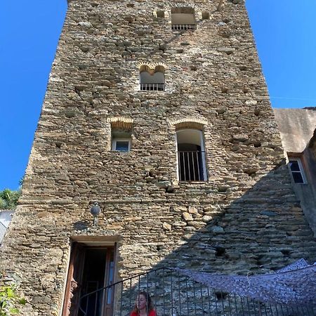 Torra Di Ciocce Pino Exterior foto